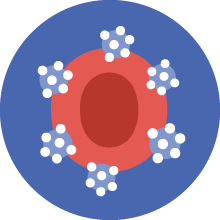 HbA1c & blood glucose control